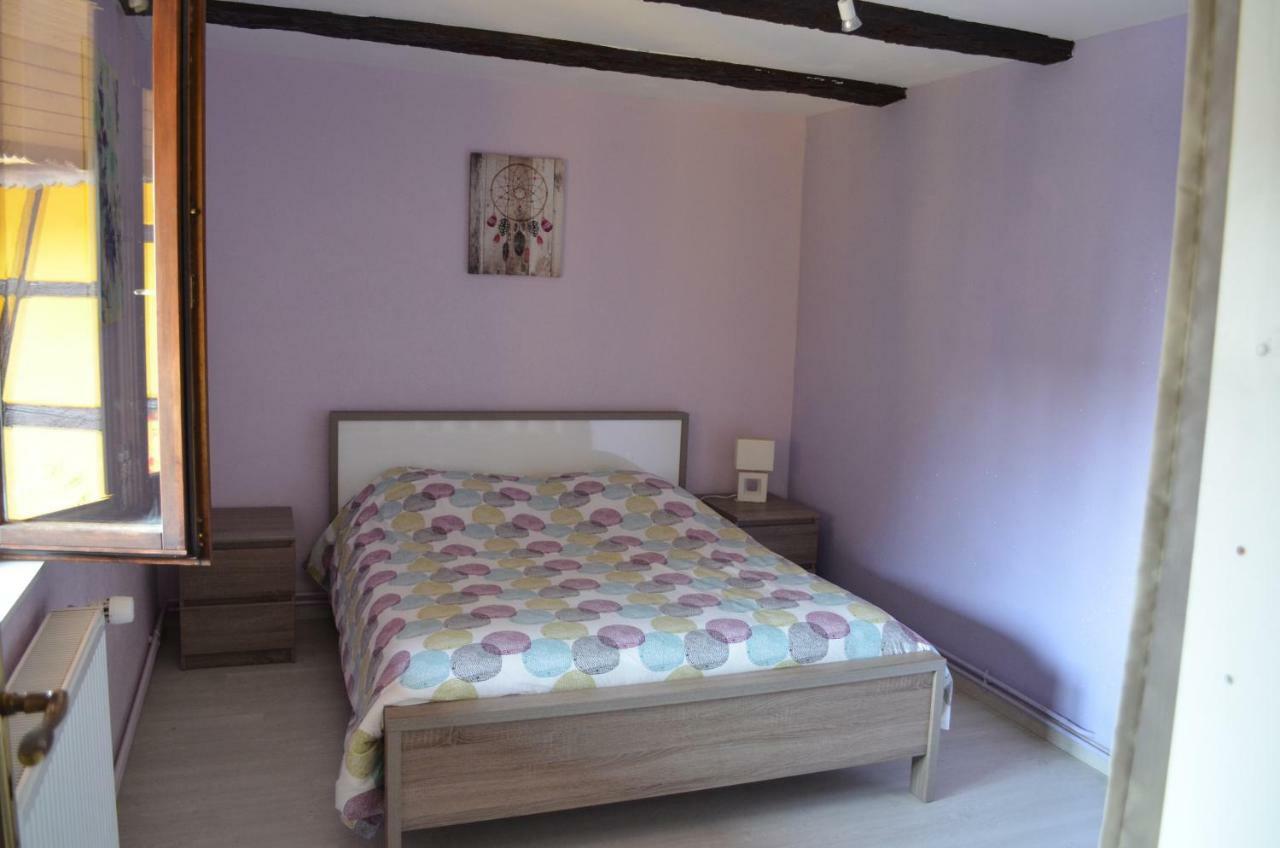 Maison Alsacienne A Andolsheim公寓 外观 照片